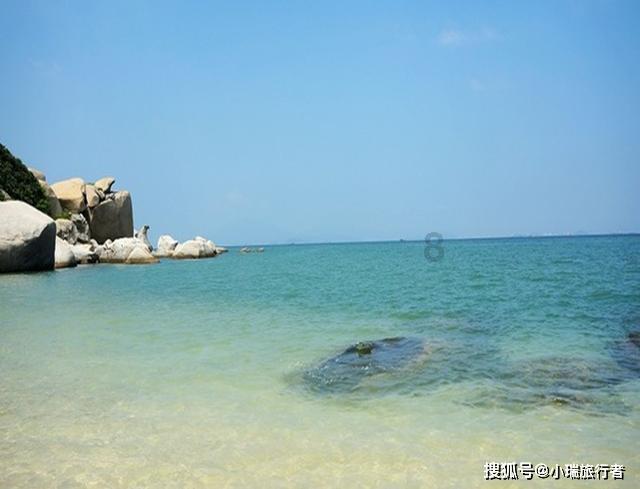 营救小乌龟